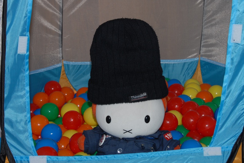 Miffa playing in a balls pool