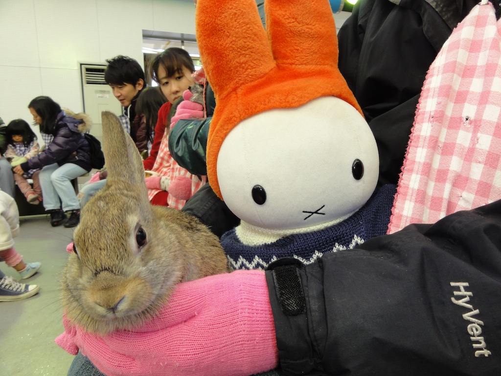 Mother Farm in Chiba Prefecture: A Fun-Filled Animal Adventure