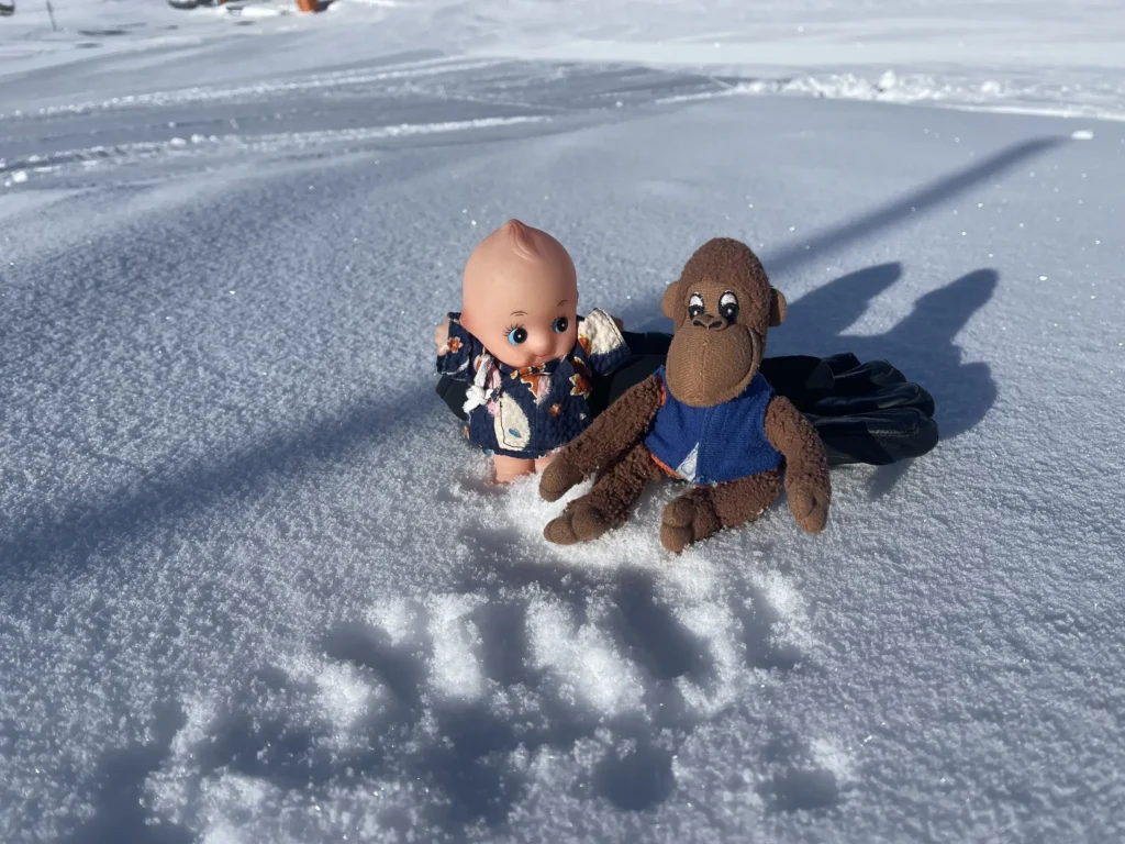 Kewpie in Antarctica