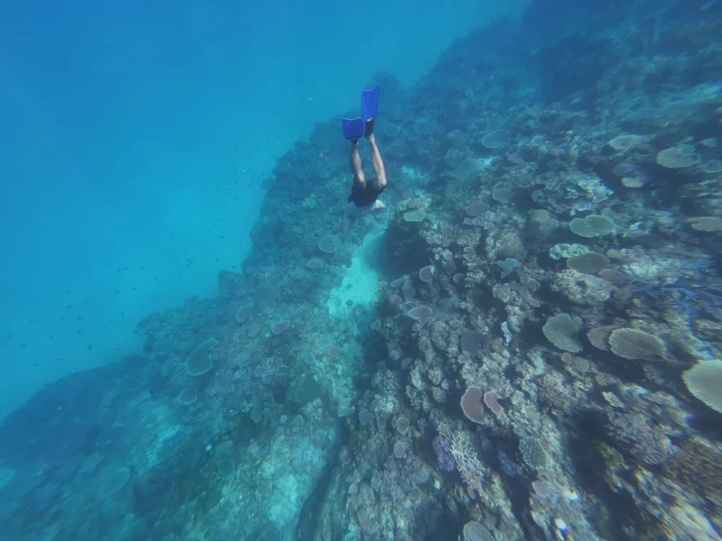 Coral reef in Fiji Islands close to blue Lagoon Resort